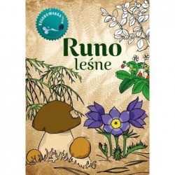 Runo leśne. Kolorowanka