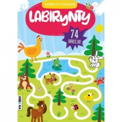 Labirynty. Kolorowy zeszyt...