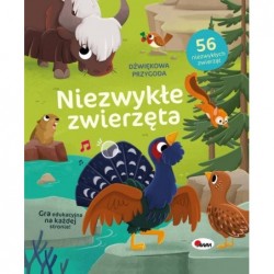 Dźwiękowa przygoda....