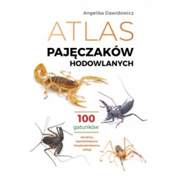 Atlas pajęczaków...