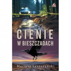 Cienie w Bieszczadach