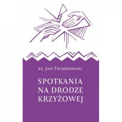 Spotkania na drodze krzyżowej