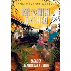 Kroniki Archeo. Zagadka...