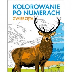 Kolorowanie po numerach....