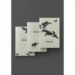 Pakiet: Obłęd. Tom 1-3