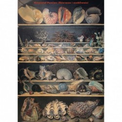 Zbieracze i osobliwości....