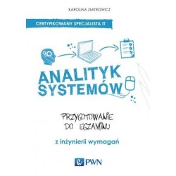 Analityk systemów....