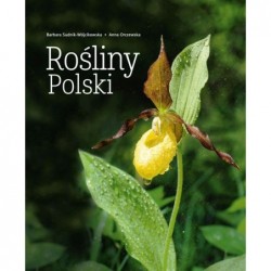 Rośliny Polski