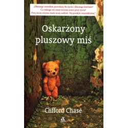 Oskarżony pluszowy Miś