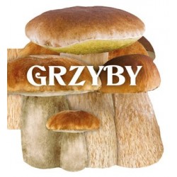 Grzyby