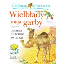 Ciekawe dlaczego wielbłądy...