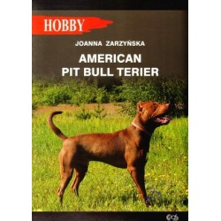 American pit bull terier