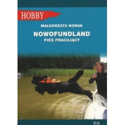 Nowofundland. Pies pracujący