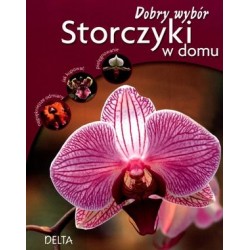 Storczyki w domu. Dobry wybór