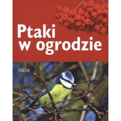 Ptaki w ogrodzie