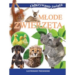 Młode zwierzęta. Odkrywanie...