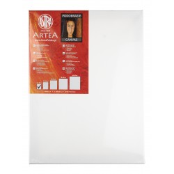 Canvas Astra 24x30cm