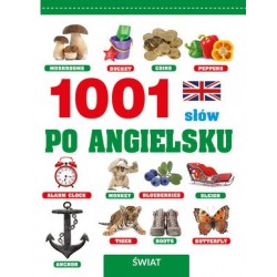 1001 słów po angielsku Świat