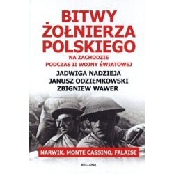 Bitwy żołnierza polskiego...