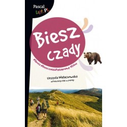 Bieszczady (Pascal Lajt)