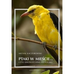 Ptaki w mieście... czyli...