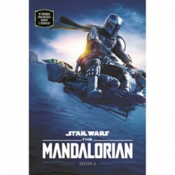 Star Wars The Mandalorian....